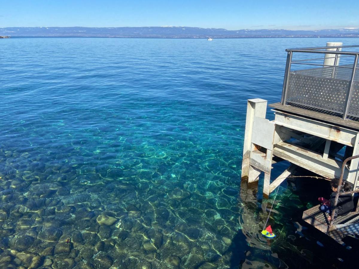 Bord De Lac,2 Chambres Superbe Vue Lac 5Mn Evian Lugrin Εξωτερικό φωτογραφία