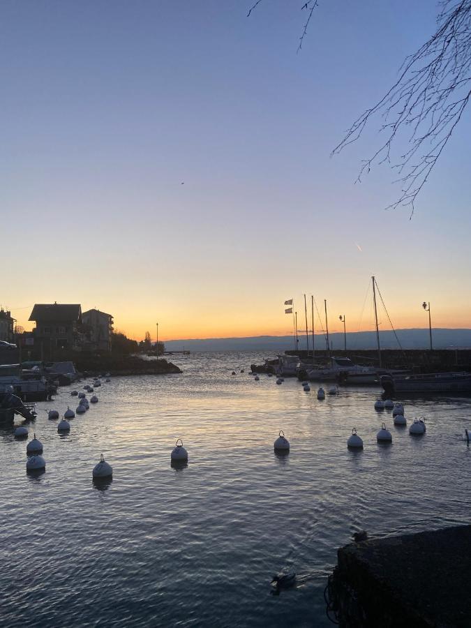 Bord De Lac,2 Chambres Superbe Vue Lac 5Mn Evian Lugrin Εξωτερικό φωτογραφία