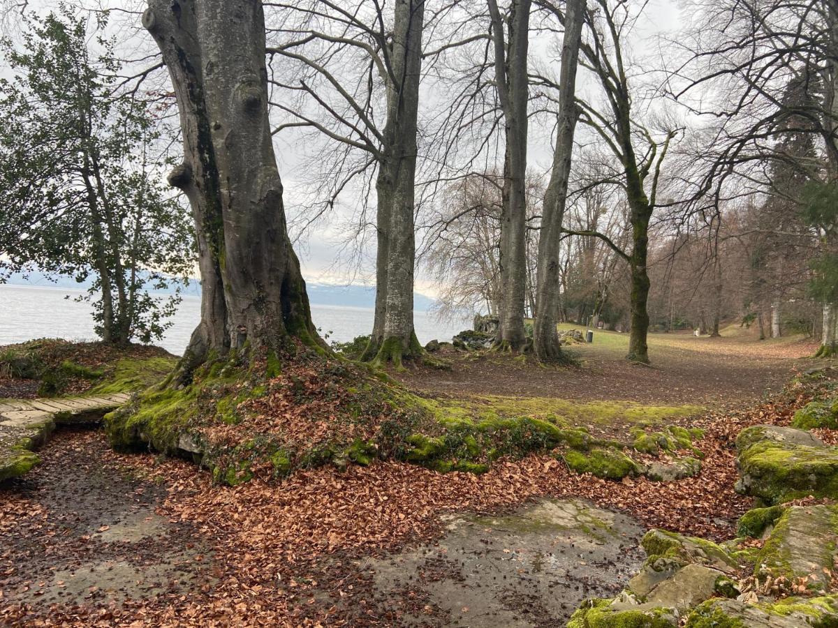 Bord De Lac,2 Chambres Superbe Vue Lac 5Mn Evian Lugrin Εξωτερικό φωτογραφία
