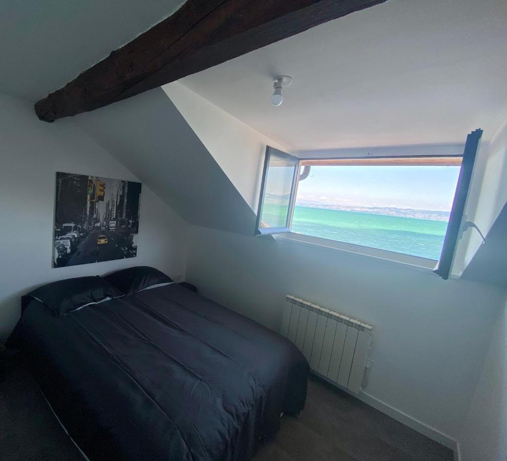 Bord De Lac,2 Chambres Superbe Vue Lac 5Mn Evian Lugrin Εξωτερικό φωτογραφία